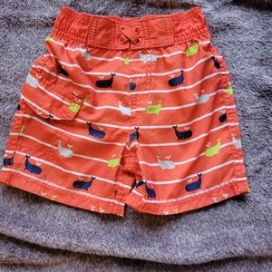 Toddler boy swimming trunks